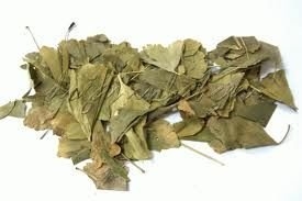 Ginkgo Biloba Yaprağı 100 Gr